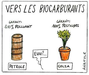 biocarburants.jpg