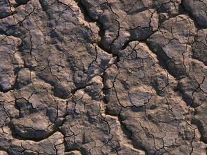 terre_seche_32933-copie-1.jpg