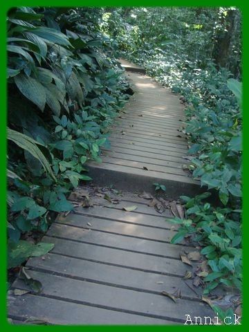 escalier14
