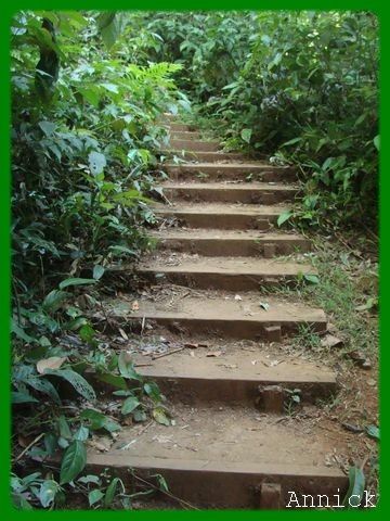 escalier3