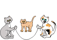 Cat79