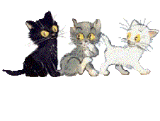 Cat8