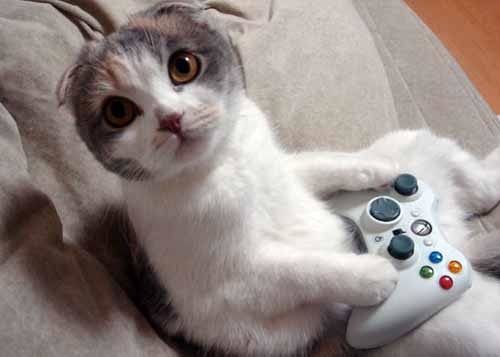 INSTANT CHAT instant chat: