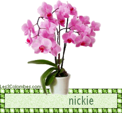 _nickie-17.gif