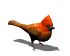 oiseau-18105.gif