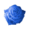 roses119.gif