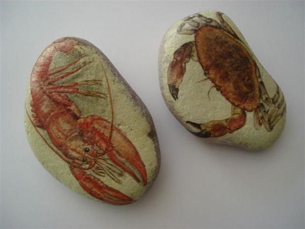 Galets peints crevette et crabe