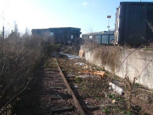 DSCF2879.JPG