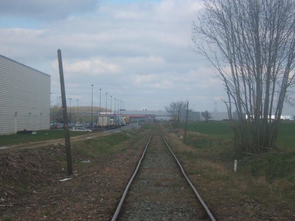 DSCF3395.JPG