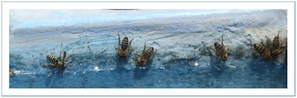 abeilles.jpg