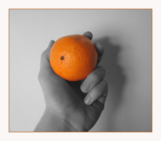 Orange.jpg