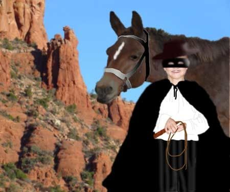 Zorro.jpg