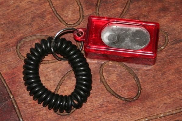 un clicker c'est ça !