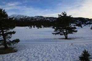 IMG_2227.JPG