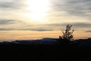 IMG_2229.JPG