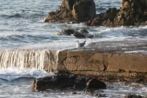 IMG_2928-copie-1.JPG