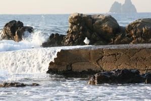 IMG_2955-copie-1.JPG