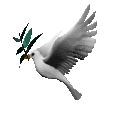 001.gif