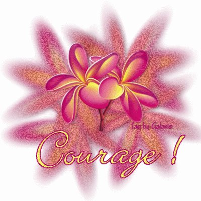Courage.gif