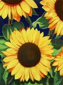 Tournesol.jpg