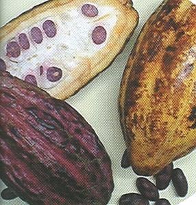 chocolat2.jpg