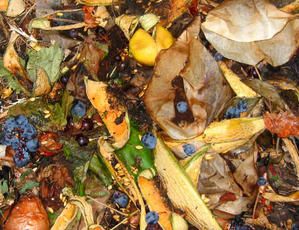 compost.jpg