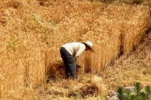 h_9_ill_709838_china.jpg