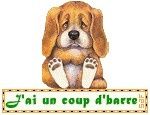 chien-j-ai-un-coup-d-barre-JPG.jpg