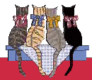 chat-051.gif