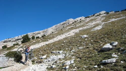 IMG-0632.JPG