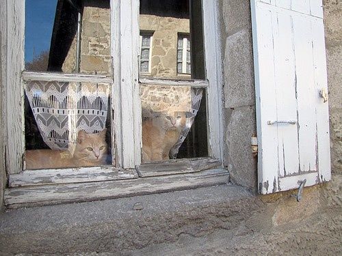 Brioude13 (43)