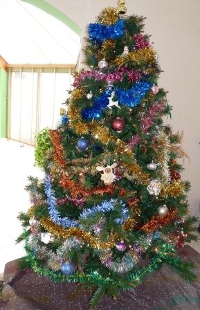 sapin-2009.JPG