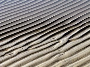 P1010879-copie-1.JPG