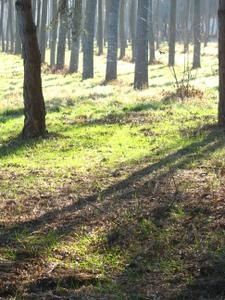IMG-7626.jpg