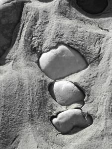 IMG-7778.jpg