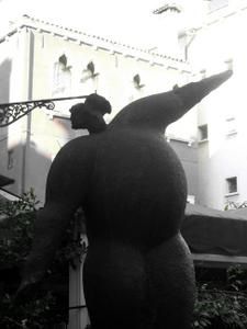 IMG-7873.jpg