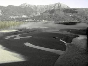 IMG-7937.jpg