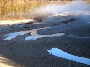 IMG-7939.jpg