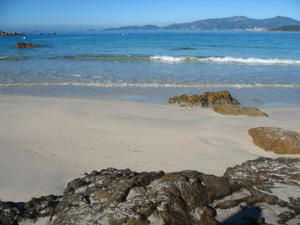 IMG_8894.jpg