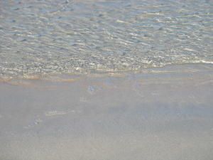 IMG_8898.jpg