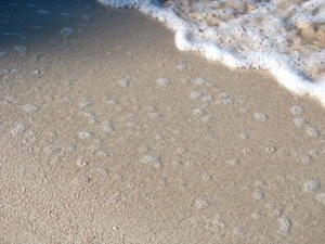 IMG_8902.jpg