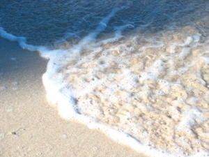 IMG_8903.jpg