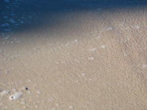 IMG_8904.jpg