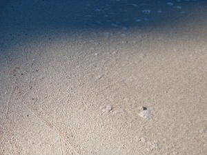 IMG_8905.jpg