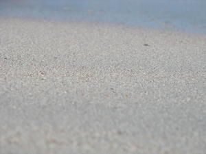 IMG_8906.jpg