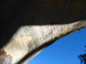 IMG_8996.jpg