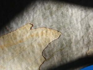 IMG_8997.jpg