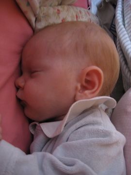 Photos5 2431