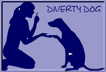 Diverty dog 1