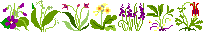 clipart12.gif